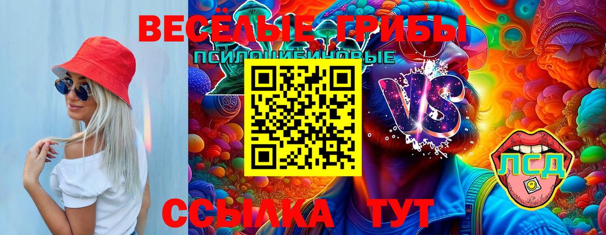 Ноябрьск  Псилоцибиновые грибы мицелий  Вход с VPN  Псилоцибиновые грибы Magic Shrooms 